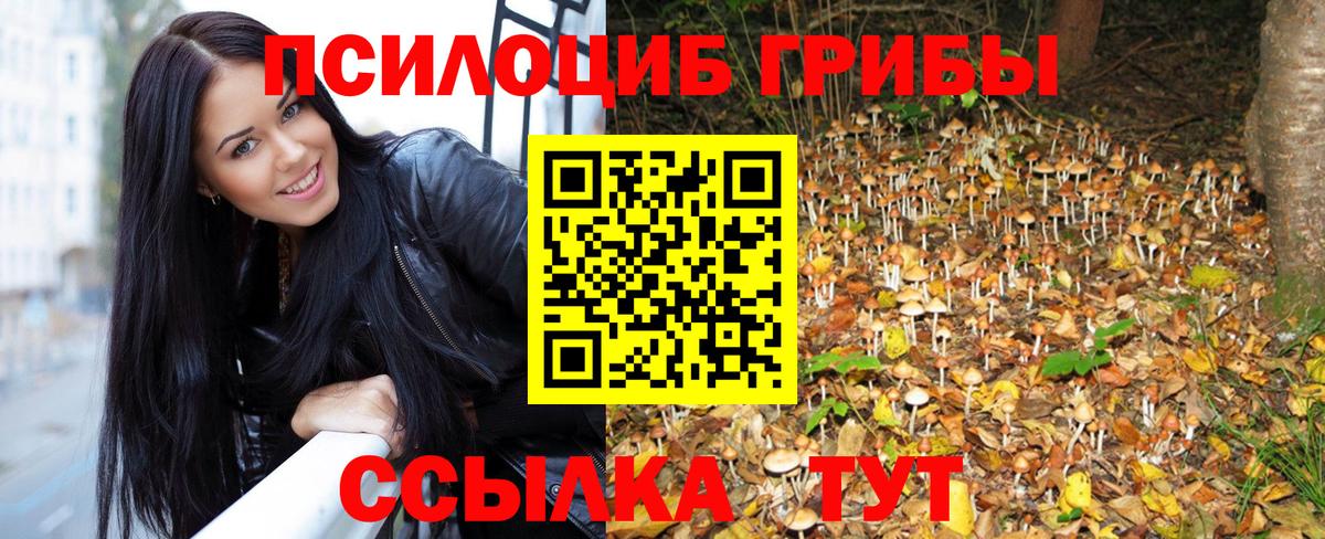 Псилоцибиновые грибы MAGIC MUSHROOMS Медногорск