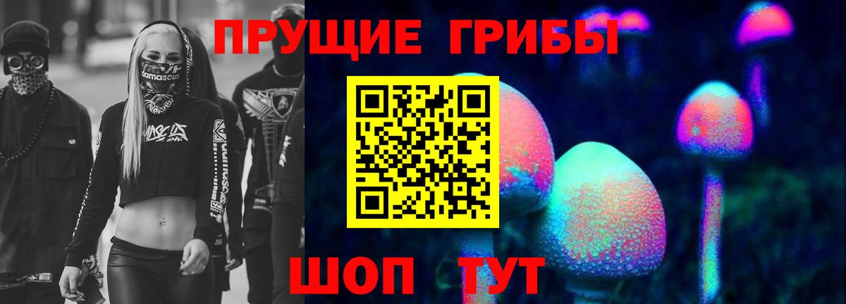 Медногорск  Псилоцибиновые грибы ЛСД  Вход с VPN  Псилоцибиновые грибы Cubensis 